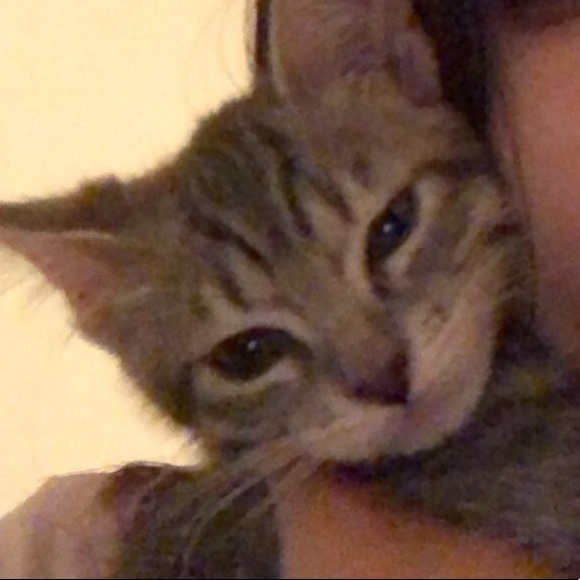 Meet your Posher, Samantha - Picture 1 of 1